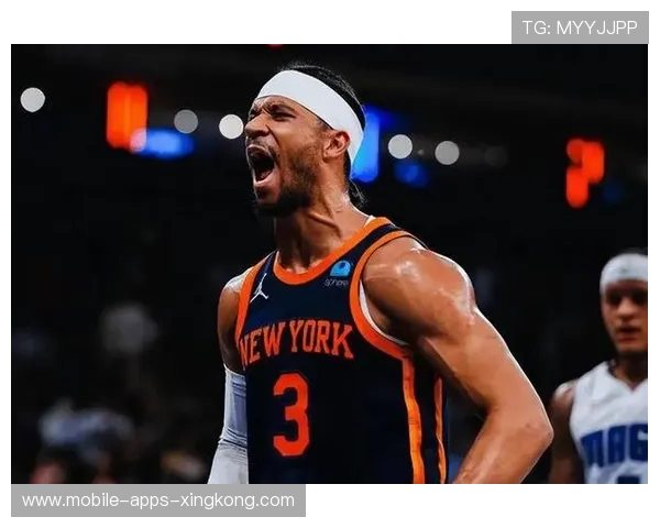 尼克斯篮板像抢劫 尼克斯篮板像抢劫